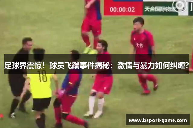 足球界震惊！球员飞踹事件揭秘：激情与暴力如何纠缠？