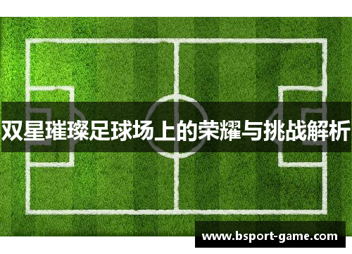 双星璀璨足球场上的荣耀与挑战解析